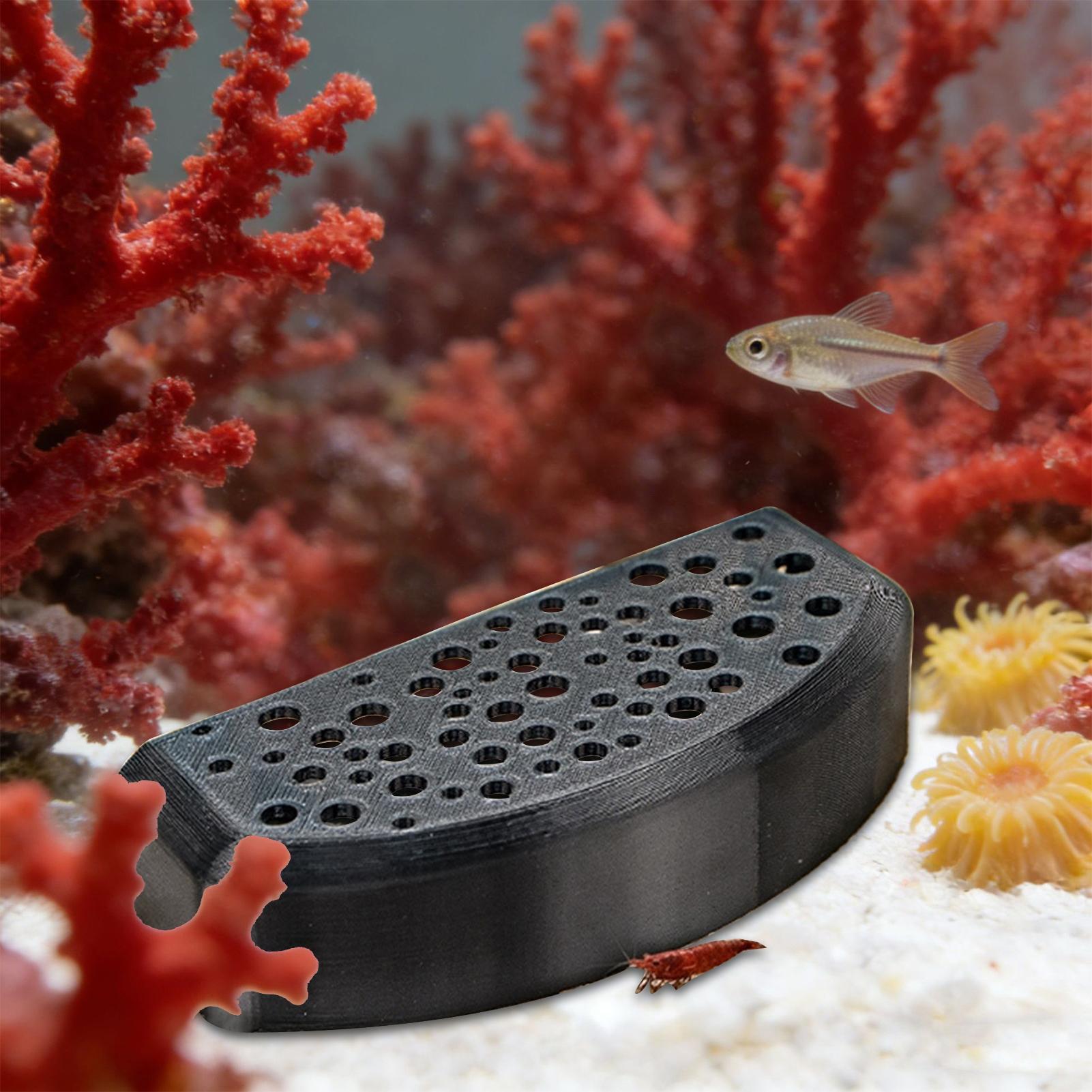 Aquatic Pet Rest Ornament Mult - Aquatic Zone recension och pris