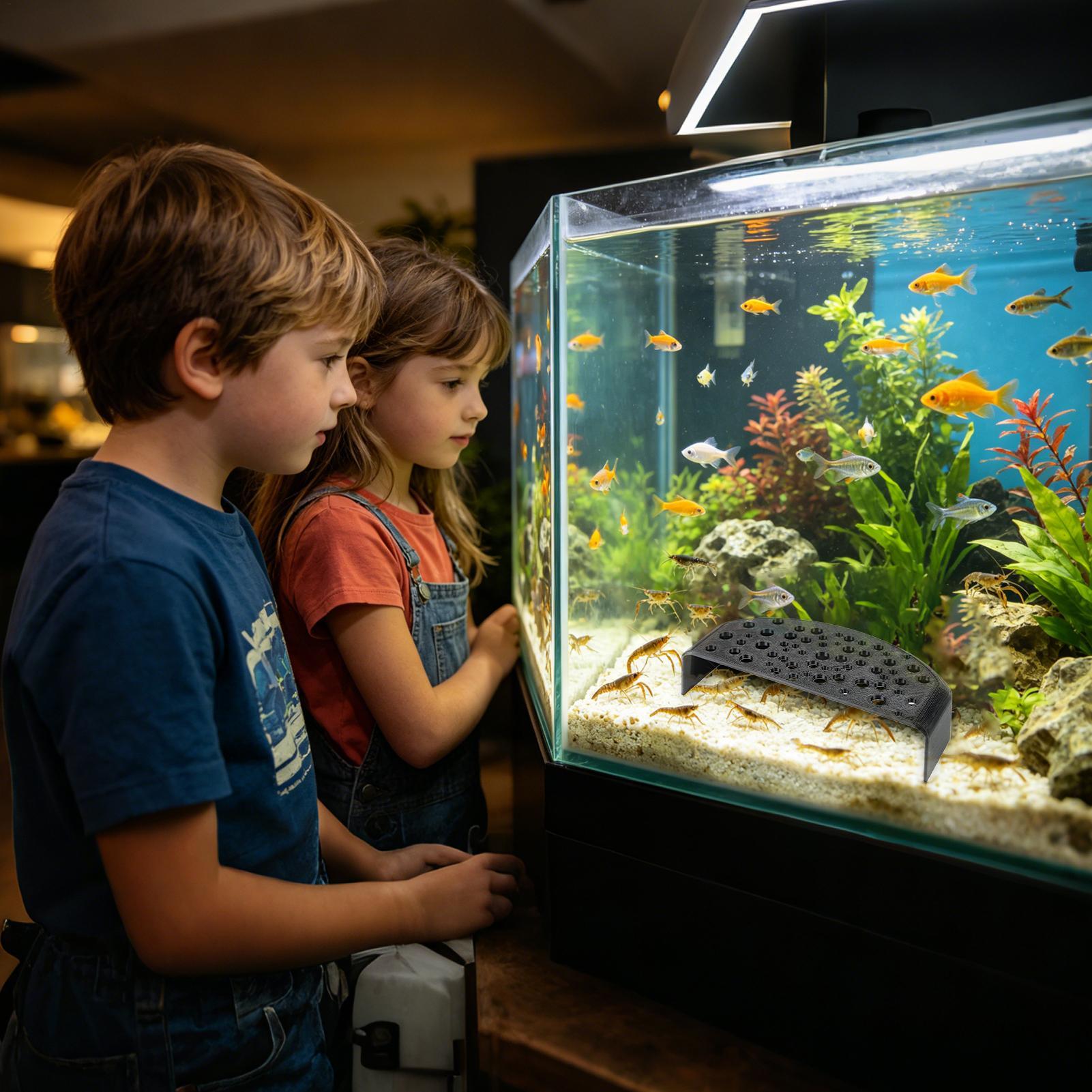 Aquatic Pet Rest Ornament Mult - Aquatic Zone recension och pris
